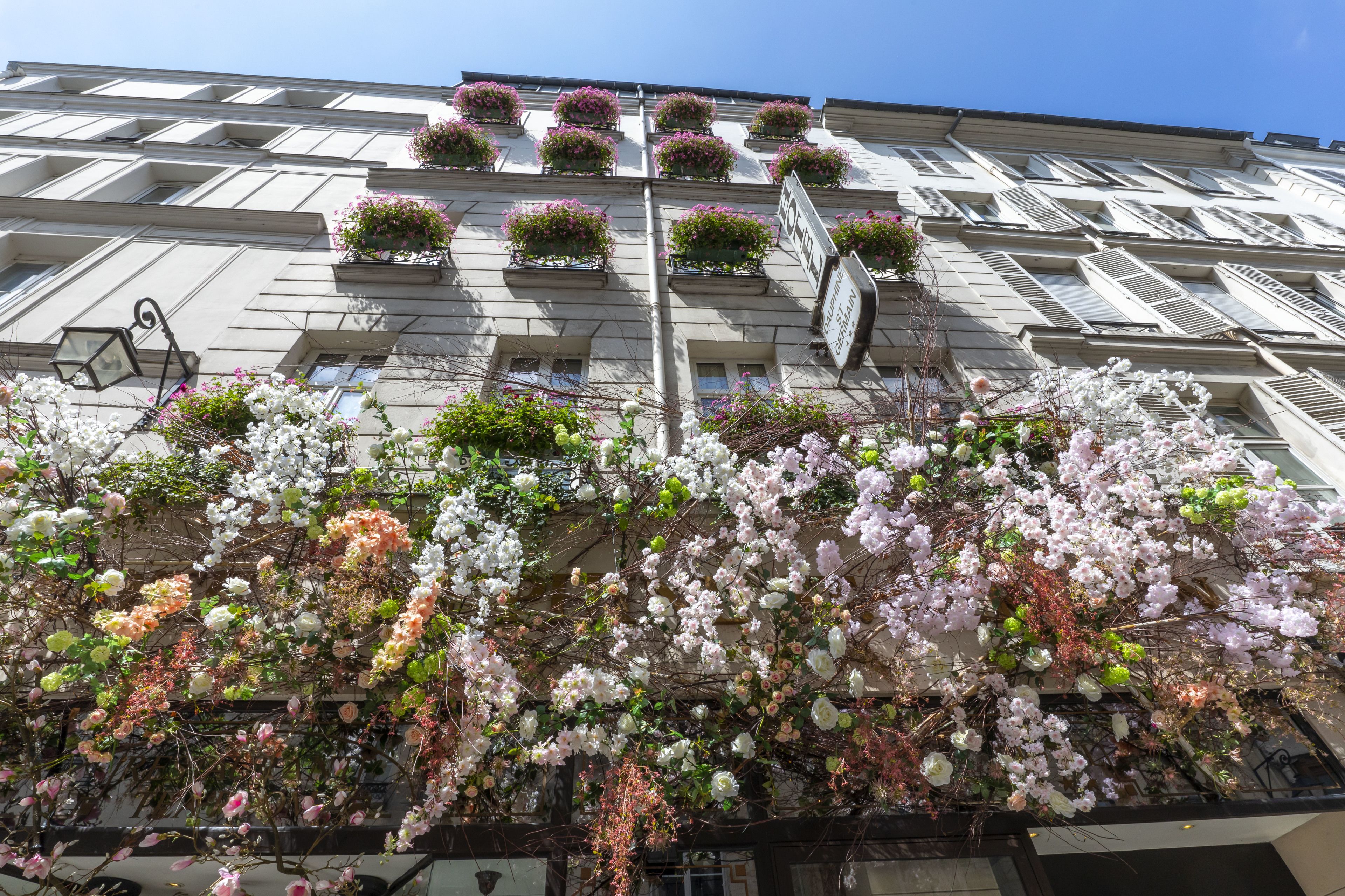 Dauphine Saint Germain Hotel — photo 3